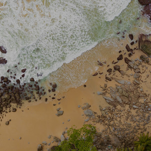 Sand Dollar by Golden After