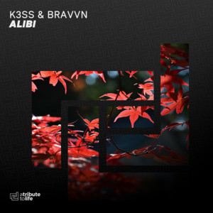 Alibi by K3SS, BRAVVN