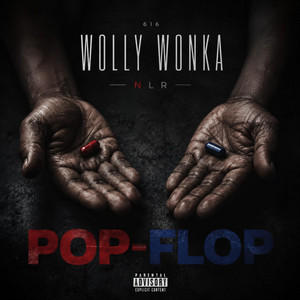POP - FLOP by WOLLY WONKA