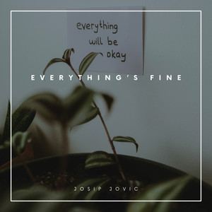 Everything's Fine by Josip Jovic