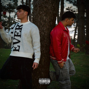 CHIAMMN by ENZINO, Carde