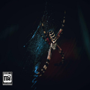 Portada de CONNECT