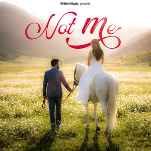 NOT ME by Prithvi