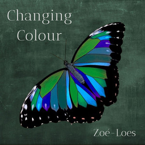 Changing Colour by Zoé-Loes Barree