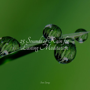 25 Sounds of Rain for Lasting Meditation album