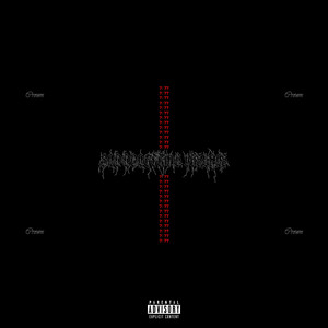 BLOODLETTING VISUALS album