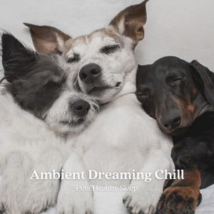 Ambient Dreaming Chill: Pets' Healthy Sleep album
