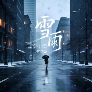 雪雨 by 沙宝亮