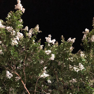 Kersarge - Austin Sucks! (Sped Tf Up Version Cos Fuk Copyright Law)