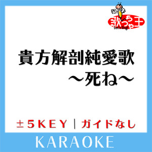 あいみょん　貴方解剖純愛歌〜死ね〜