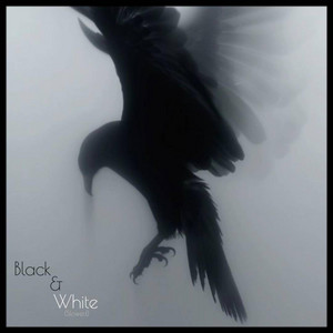 KillGard — Black&White (Slowed)