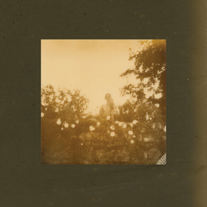 Pallid Dreams by Samana