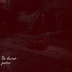 te duro poko by Gatoche