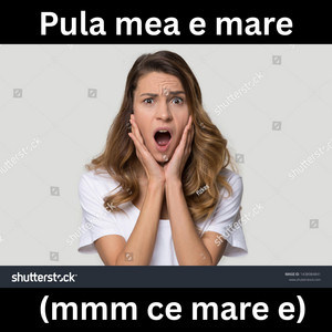 Pula mea e mare (mmm ce mare e) by Intelligent Records