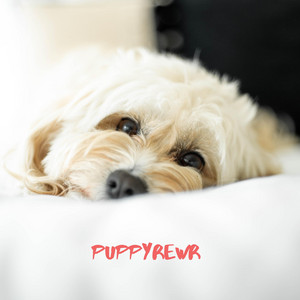 puppyrewr - The Cute Puppy Song
