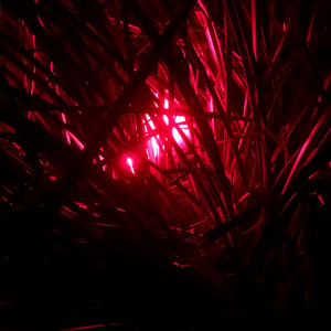 SideWinDer by NoNo