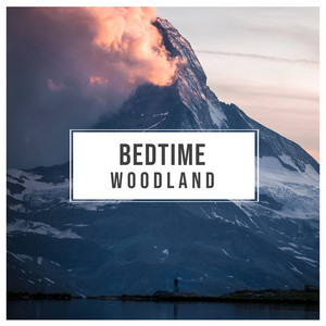 # 1 Album: Bedtime Woodland album
