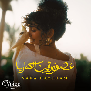 عصفورتين الكناريا by Sara Haytham