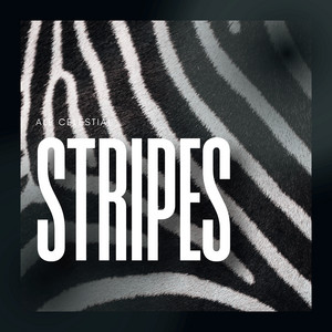 Stripes by Ale Celestial