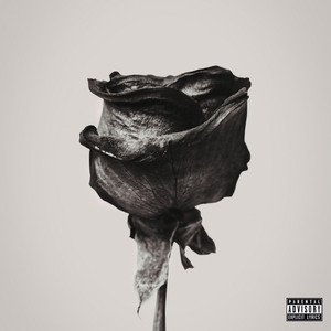 Black Rose by The Frst, Logan Ledger, Bodybox
