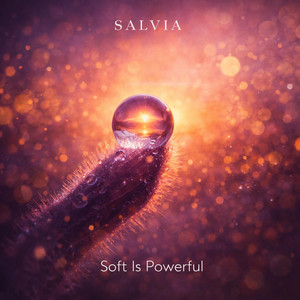 Soft Is Powerful by SALVIA