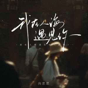 我在人海遇见你（遗憾版） by 向思思