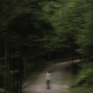 As the Wind Makes the Trees Sing by Lee MinHyuk