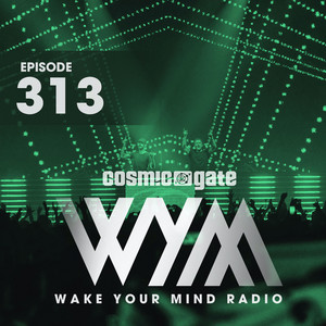 Wake Your Mind Radio 313 album