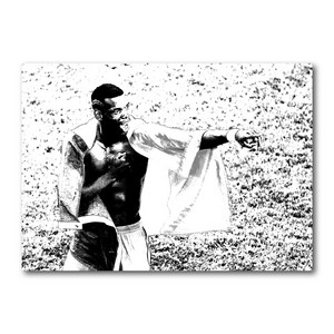 paul pogba by 1svarmor, 8t33n