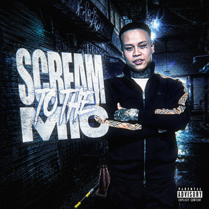 SCREAM TO THE MIC by X 1ark, Yabu
