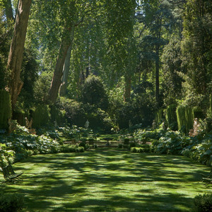 Nursery by EchoWave
