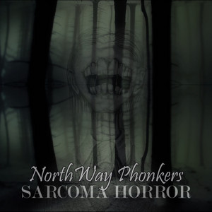 Обкладинка: North Way Phonkers