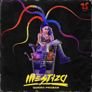 Quiero Probar by Mestiza