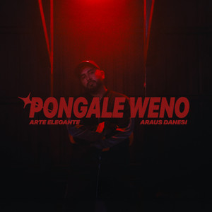 Pongale Weno by Araus Danesi, Arte Elegante