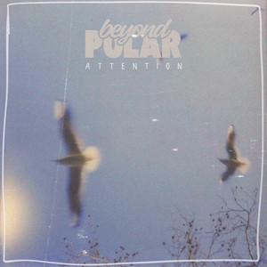 Attention by Beyond Polar