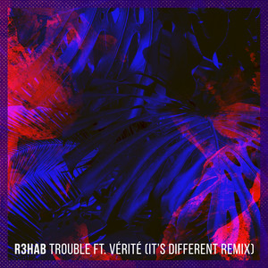 Trouble - It's Different Remix by R3HAB, VÉRITÉ, It's Different