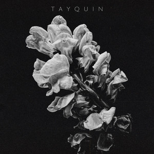Bloom by Tayquin