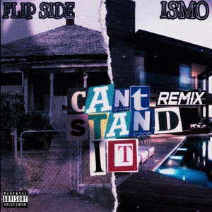 CAN'T STAND IT - Remix by Flip Side, Ismo