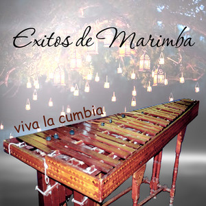 Éxitos de Marimba - Jugo de Piña