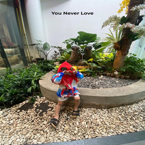You Never Love