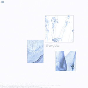 Sherry blue by Almi