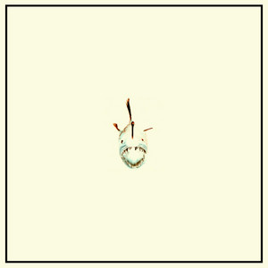 Anglerfish by Milkman Jack