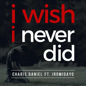 I Wish I Never Did