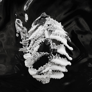 Carnivore by Psylla, Zack Cokas