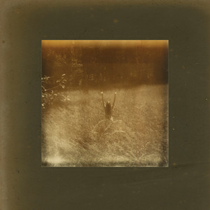 Without Words by Samana