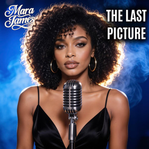 The Last Picture by Mara James