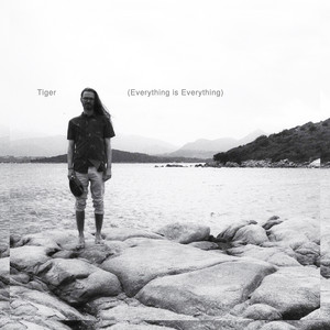 Tiger (Everything Is Everything) by November Me