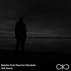 Not Alone - Original Mix cover art