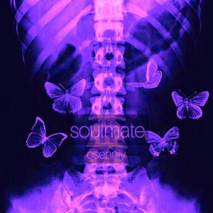 Обкладинка: Soulmate