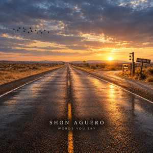 Words You Say by Shon Aguero